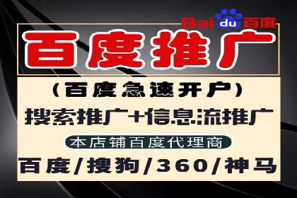 案例分析：百度推广代理助力企业抢占市场